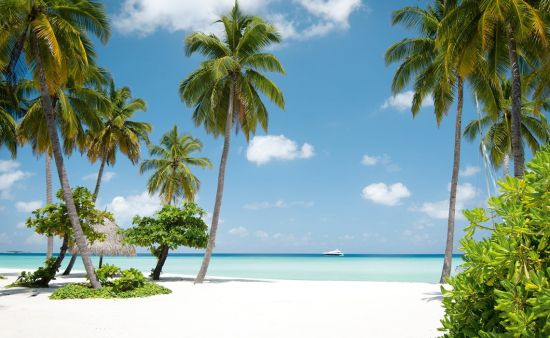 Reethi Rah Reethi Rah